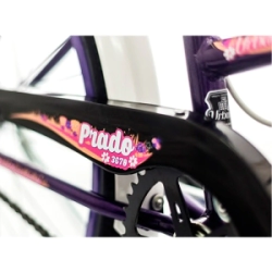 Bicicleta Gri - Bom 3670-D Prado De Paseo Rodado 24