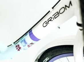 Bicicleta Gri-Bom 3510-D Oasis Rod 26 Urbana Dama