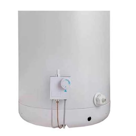 Termotanque Escorial 80lts Multigas Conexion Superior