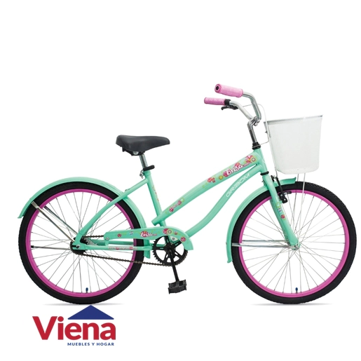 Bicicleta Gri-Bom 3050dD Brisa Rodado 24 Dama 