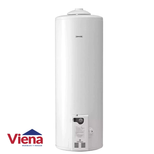 Termotanque Caloragua CA110 110Lts Pie Conexion Superior 300L/h Blanco