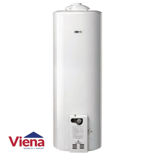 Termotanque Longvie T5110 Plus 110 Lts Pie 300L/h Conexion Superior