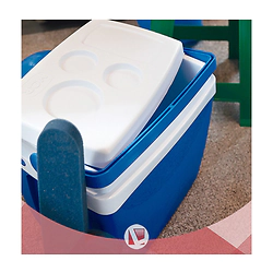 Conservadora ICE COLD Mor 26Lts 18801 Azul